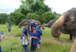 Baanchang Elephant Park de Chiang Mai.