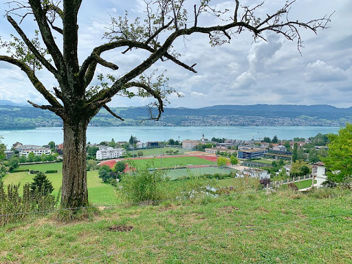 Auf dem Pfannenstil-Panoramweg über Meilen.