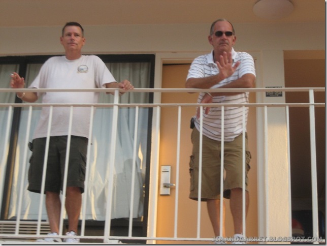 2009-09-04 Flamingo 04