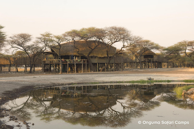 Onguma Reserve Etosha Namibia