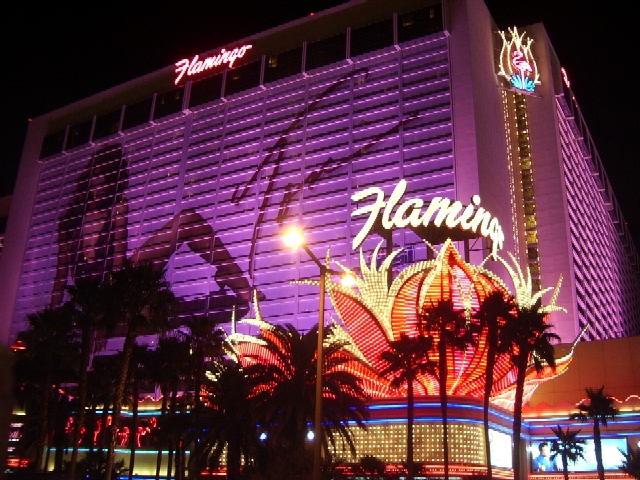 Hotel flamingo