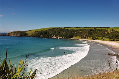 Tawharanui Beach