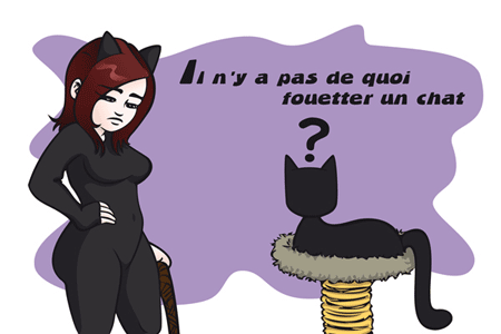 Whipping Cats Geek S Corner 8 More French Expressions You May Not Learn In School Whipping Cats Geek S Corner 8 More French Expressions You May Not Learn In School