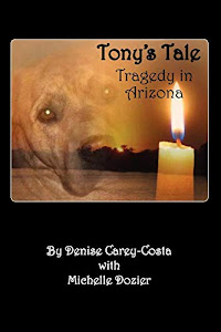 Tony's Tale. Tragedy in Arizona