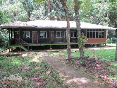 Forest Lodge at Bako NP - WireBliss