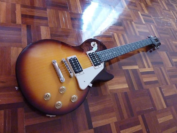 Epiphone Les Paul Standard epiphone les paul standard plain top electric guitar. Epiphone Les Paul Standard