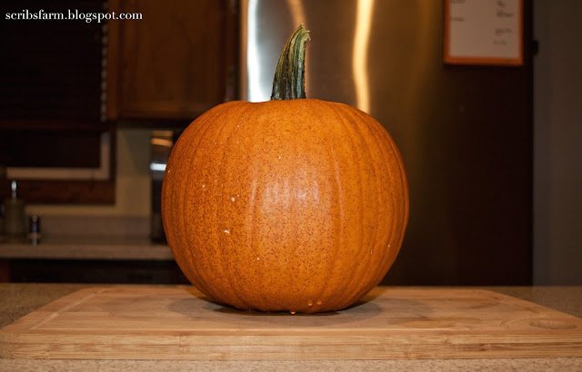 sugar pumpkin recipe