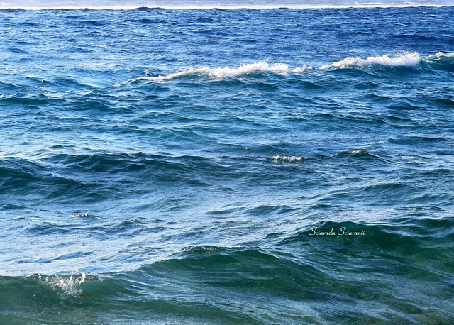 Il mare d'estate - Mediterraneo