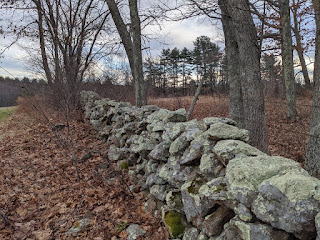 Possible resemblance to the stone walls in question (these are on Dacey Field)