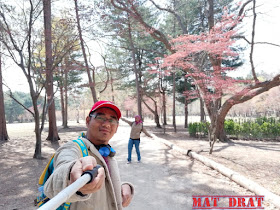 Percutian Bajet Seoul Nami Island 