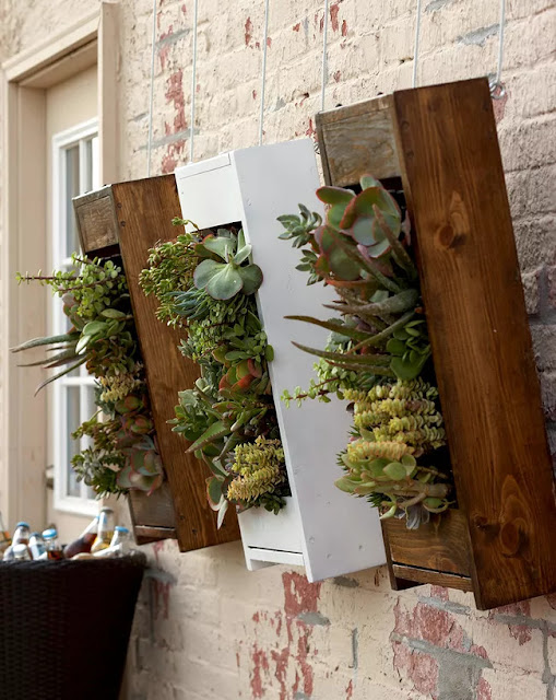 18. Vertical Gardening Tips