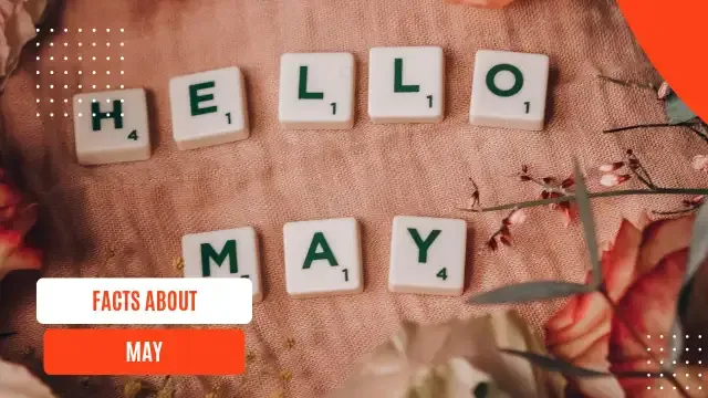 A close-up shot features white Scrabble tiles spelling out "HELLO" on the top row and "MAY" on the bottom, arranged on a textured peach-colored fabric. Sprigs of delicate pink and white flowers and greenery are scattered around the tiles, adding a touch of spring. In the lower left corner, a white rectangular banner with the words "FACTS ABOUT" in black is stacked above an orange rectangular banner displaying "MAY" in white. The overall aesthetic is soft, inviting, and suggestive of the arrival of the month of May.