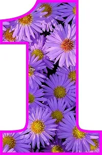numero uno floreado color morado y flores blancas adentro