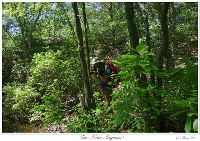 Fells: Nature Assignment?