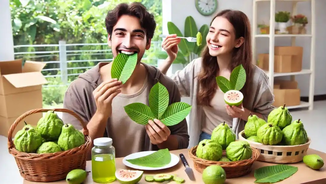 পেয়ারা-পাতার-উপকারিতা