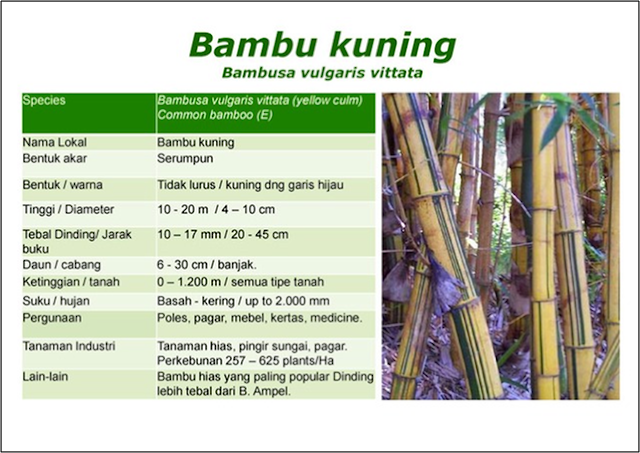 bambu, bandung, taman, park, rekreasi, keluarga, spot, selfie, 2018, syantik, tujuan, wisata, destinasi, #, hashtags, liburan, west, java, indonesia, refresh, hijau, go, green, organik, terjangkau,  bamboo, cipatat,  diy, project, limbah,  jenis, ragam, daun, air, edukasi, azolla, asli, kerajinan, wana, hutan, alam,  lebaran, idul, fitri, adha,  2019, akhir, tahun, tempat, bambu, bandung, taman, park, rekreasi, keluarga, spot, selfie, 2018, tujuan, wisata, destinasi, #, hashtags, liburan, west, java, indonesia, refresh, hijau, go, green, organik, village, desa, dusun, viral, sosmed, alexa, parking, toilet, bathroom, wastafel, clean, restaurant, indien, family, leisure, outdoor, activities, mind, body, spirit, best, offer, lembang, barat, timur, utara, selatan, arah, mata, angin, jarak, kilometer, jauh, dekat, tempuh, sejuk, indah, nyaman, lembab, hujan, musim, cuaca, mudik, tol, macet, lancar, kafe, bar, pujasera, makanan, minuman, enak, kuliner, oleholeh, ciri, khas, sunda, priangan, konservasi, bibit, tanaman, benih, siliwangi, kiansantang, legenda, cerita, mitos, budaya, adat, hindia, belanda, malaysia, singapore, brunei, cina, tiongkok, rrc, oriental, tradisi, angklung, calung, suling, karinding, gamelan, musik, santai, booking, pegipegi, traveloka, trip, advisor, sheraton, agoda, tourism, turis, domestik, mancanegara, asing, pribumi, canvas, nakita, grid, trubus, beyond, trivago, mommies, bunda, mama, ibu, mami, buah, hati, anak, child, tree, top, camping, ground, flying, fox, ayunan, api, unggung, marsh, mellow, food, street, my, adventure, attraction, keluar, resort, econature, puri, promo, potongan, code, rich palace, madinah, mekkah, eiffel, tower, madrid, airport, shinjuku, naia, manila, saigon, orchad, osaka, shanghai, vatikan, pattaya, barcelona, cebu, ginza, saudi, arabia, oslo, ketam, malioboro, kuta, lombok, malang, batu, reservasi, gili, trawangan, wisata bandung, wisata malang, wisata batu, tour packages, tours and travels, asian tour, day, floating, market, chicago hotels, summer house, times square, new york, san francisco, paris, toronto, clermont, porta, ventura, liberty, diamond, heathrow, berlin, lagoon, olympic, concordia, london, detroit, atlantis, las, vegas, wisata jogja, wisata yogyakarta, lembang bandung, wisata malam, wajib, dikunjungi, indo, insonia, infonesia, indonesian, wonderfull, bali tourism, indon, kementrian, fact, garuda, logo, beautiful, republic, hotels, near, me, cheap hotels, booking hotel, all in one, hotel di bandung, suite, last, minute, nearby hotels, deals, 5, star, hotel room, booking hotels, cheap motels, luxury hotels, discount hotels, hotel bali, garden stones, hotel finder, airport hotel, beach hotel, regency hotel, tree top adventure, budget hotel, hotel resort, wisata lembang, hotel websites, hotel reservations, maribaya bandung, hotel di jogja, tempat wisata di bandung, tempat makan, puncak, sheraton, hotel di bandung, sheraton hotel, hotel murah, sheridan, hotel horison, trans hotel, ibis hotel, guest house, gili islands, luang prabang, tioman, mount kinabalu, airbnb, krabi, belitung, phuket, ubud, koh, phangan, universal studios tickets, langkawi hotels, putri duyung ancol, crimson, alabang, royal plaza, sentul, bus pariwisata, rental mobil, sewa mobil, sewa bus, paket wisata, harga sewa, sun loungers, vans, polka, grill, pan, vacuum, floral, jumpsuit, washing, machine, v neck, o neck, blazer, koh samui, uluwatu, legian, ayana resort, four seasons, jumbo seafood, jimbaran, london, siam, expo, halal food, halal drink, las vegas hotels, san francisco hotels, los angeles hotels, pattaya hotels, lombok hotels, bahamas hotels, pesona, highland, hills, rental mobil makassar, sewa motor bandung, azolla, microphylla, index, follow, bibit, tanaman, pupuk, hijau, kompos, pakan, alternatif, ikan, ternak, pengurai, limbah, sampah, lahan, kritis, gurame, nila, lele, sapi, kambing, domba, kerbau, kolam, terpal, ayam, bebek, entog, pengganti, rumput, galian, pasir, tambang, google, iklan, gratis, baris, kolam, mancur, belut, patin, adu, pelung, bangkok, tpa, pemancingan, ph, keasaman, bak, semen, toren, tebar, padat, kimia, tanah, ongkir, jene, tiki, pos, indonesia, bandung, raya, jakarta, surabaya, semarang, jogjakarta, bali, madura, sumatera, kalimantan, sulawesi, papua, ntt, ntb, pulau, social, media, sosmed,refresh, posting, free, marketing, trend, mlm, sukses, usa, eropa, retail, member, google, yahoo, gmail, gratis, join, booming, market, network, 212, khilafah, aksibela, facebook, twitter, path, insta, online, website, blog, situs, link, ranking, alexa, msn, keyword, hash, tags, mnc, meta, com, net, search, engine, xml, adwords, adsense, page, 404, title, dofollow, PR, anchor, bookmark, video, free, download, audio, beauty, pdf, html, backlink, index, mesin, pencari, tembolok, wordpres, hosting, DMOZ, EBOOK, anne, ahira, klik, click, tools, software, traffic, domain, giga, auto, edmund ng, suwandi, chow, Alex Mandossian, Joe Vitale, Armand Morin, Brett McFall, Stephen Pierce, Shaune Clarke, Mike Filsaime, David Cavanagh, Kelvin Hui, Jo Han Mok, Ewen Chia, Fabian Lim, Yanik Silver, testimoni, user, financial, freedom, internet, empire, 100%, 1000, asia, pasific, brand, affiliate, copyright, potensi, penghasilan, tambahan, program, informasi, hasil, kerja, logo, trademark, merk, halaman, pertama, #1, halaman, profit, Hands On Workshop, UnderGround Seminar, eBizmastermind, SEO, Seminar, IM Total Solutions, President University, bebas,seleb, haters, cashback, baru, paket, stockist, master, agen, reseller, jaringan, launcing, 13 mei, 5 juni, 2015, 2016, pin, invite, sms, WA, bbm, whatapps, android, opera mini, play store, browser, mozilla, firefox, email, wifi, picsart, shareit, clean master, fb, windows, microsoft, linux, unix, produk, keren, downline, aroma, irit, harga, satuan, merah, red, pink, kuning, lemon, hijau, green, hitam, biru, buka, blokir, nawala, internet positif, barcelona, barca, juventus, champion, jual, sedia, khas, tanpa, daftar, jokowi, mantu, selvi, ananda, gibran, preman, pensiun, idol, xfactor, bukalapak, tokopedia, olx, berniaga, toko, bagus, beli, ganteng, srigala, manusia, harimau, ufc, anti, galau, bosan, booring, idul, fitri, ramadhan, adha, lebaran, fitrah, puasa, bandwith, kuota, pulsa, operator, ping, blog, post, file, best, index, publish, high, list, batu, akik, cincin, batang, emban, motif, kristal, titanium, submit, gemstone, idm, entri, agregator, automatic, bulk, update, coding, raja, ratu, princes, exchange, verified, comment, get, more, loader, 32bit, x86, antivirus, jualbibitazollajakarta, blogspot, yang, dan, untuk, kota, dengan, dari, kita, di, bisa, dalam, air, atau, bahan, protein, rp, bonus, kritis, lahan, pada, akan, sebagai, kandungan, cara, budidaya, tanam, blitar, oleh, lewat, pinterest, bagikan, komentar, atm, rekening, bri, bca, mandiri, bjb, transfer, bank, kirim, via, masuk, halaman, kata, sandi, buat, farm, organik, alami, asli, no, tipu, menu, berbagi, menu, sub, cupang, hias, label, cacing, keong, em4, order, microphylla, pertanian, peternakan, perikanan, perairan, dengan, pupuk, karena, tempat, media, membuat, menjadi, seperti, matahari, bak, semen, terpal, kandang, jamur, sampingan, satriausaha, urea, spora, sp, npk, tsp, permukaan, tumbuhan, paku, ganggang, tawar, pekarangan, alga, zoo, fito, plankton, segar, sejuk, nutrisi, napsu, makan, bau, unsur, hara, sedia, pati, doel, ghofoer, emas, hijau, kecil, ukuran, besar, manfaat, pabrik, buatan, jagung, dedak, beras, sawah, babi, kelinci, patin, bawal, murah, tawar, benih, pelet, mesin, randi, apung, hidroponik, aqua, mini, tepung, tehnik, bioflok, barang, jasa, cargo, uji, coba, fermentasi, ipb, bogor, baku, daun, udang, tanah, nabati, penyakit, limbah, kualitas, hasil, panen, untung, laba, kandungan, asam, PH, proses, tebar, padat, pemberian, gizi, amino, kotoran, vitamin, mineral, lamtoro, nitrogen, pinterest, padi, empang, balong, antibiotik, sangkuriang, phyton, karbohidrat, lemak, kilogram, kedalaman, berkembang, subur, tandus, pengganti, waktu, siang, meningkatkan, jumlah, bobot, faktor, ekor, keramba, maksimal, terjangkau, sumber, serat, tanaman, ukuran, vietnam, kamboja, gambut, residu, feses, sisa, lumpur, dasar, blitar, probiotik, mahakam, agrobisnis, lumbricus, jamu, joper, ekspor, open, kompas, pikiran, rakyat, tempo, bumihijau, admiistrasi, magelang, kuis, musim, national, Geographic, basah, kering, youtube, tebing, keraton, sanghyang, heuleut, helet, aquatic, potential, globe, agriculture, agro, super, organism, ecology, species, human, reduced, reduksi, unique, plant, can, help, biofertilizer, livestock, feed, food, renewable, energy, Foundation, Biosystems, ltd, technologies, space, exploration, planet, Environmental, CO2, maximize, research, high, value, pharmaceutical, Arctic, expedition, million, year, old, work, under, image, hope, mankind, discover, rice, coffee, tea, gallery, Resources, Development, Project, animal, cost, home, garden, float, algae, cattle, pig, poultry, wet, land, Nutrient, content, impact, growth, try, genome, capture, nitrogen, phospat, urea, kalium, kalsium, zinc, long, step, lab, cupita, kaunang, baby, margaretha, magdalena, farah, quinn, bra, 38c, 40c, amel, alvi, kiki, amalia, jenny, cortez, aura, kasih, julia, perez, nikita, mirzani, five, raisa, pevita, ariel, tatum, agnezmo, milinka, marissa, nasution, avalon, Alexandra, Asmasoebrata, sinta, bachir, devina, aline, roro, fitria, Sarah, Wijayanto, Uli, Auliani, kadek, devie, silvia, fully, andrea, dian, ftv, luna, maya, vindy, lee, laras, monka, wiwid, gunawan, cherry, belle, septi, olla, ramlan, anggita, sari, julie, anisa, chibi, ayu, tingting, zaskia, gotik, Jessica, Mila, ggs, Bella, Shofie, Tyas, Mirasih, semprot, 17tahun, cerita, panas, dewasa, duo, srigala, pamela, safitri, chelsea, siti, badriah, kartika, putri, debby, ayu, cinta, dewi, yeyen, lidya, anita, hara, audy, item, regina, andriane, saputri, pearce, tata, janeta, lia, emlia, yulia, yellow, Dwi, Putrantiwi, Tiara, Lestari, Ovy, Sovianti, vevo, nadia, ernesta, Nadine, Alexandra, Tamara, Bleszynski, tika, putri, maria, selena, Zivanna, Letisha, masayu, anastasia, Qory, Sandioriva, Novie, Amalia, Ayu, Anjani, Fifie, Buntaran, Sandra, Dewi, Happy, Salma, manohara, Lyra, Virna, syahrini, Natalie, Sarah, Mellindah, Sari, Nindy, Rahmadanti, Widya, kondom, Sooperboy, Josie, Putri, indah, monica, Angelica, Zubir, Elsatya, Marscelina, Bebby, Keysa, Lawra, Ferlanica, Audrey, Slafiqa, Zairah, Wijaya, ratu, kirana, Andrea, Thomsont, Ratry, Princessa, Neztha, Agista, Putri, Lina, Marina, Vera, Kaira, Gege, Fransiska, Eka, Lim, popular, Rully, Angellina, Punky, Permata, Dillian , Gresta, Kimby, rhere, Desy, Evelyn, Hanna, Maia, Dian, Nifa, Novella, tika, kaunang, imey, putri, ramadani, Bee, Viona, Tan, Jelly,  Syakilla, Alisha,Dara, Olla, Aurel, Ayunia, Elfahrez, Shita, Destya, Dewi, RV, Siva, Aprilia, Ratu, Frieska, nheyla, echa, frauen, wisata, malam, albern, sutan, silvia, sasha, Cherry, Laurent, maxim, Vitalia, Sesha, fhm, cosmopolitan, Mira, Makrad, hang, out, devi, liu, depe, jupe, nabilah, melody, jkt, 48, shania, veranda, kinal, ochi, cindy, gulla, laksani, takajo, thalia, sonia, vania, Faby, Marcelia, Agni, Pratista, rinada, Elly, Tran, tia, ivanka, selvi, kitty, vicky, zaenal, zahra, jasmine, gomes, audrey, chant, felicia, ria, winata, male, mata, lelaki, gress, mela, barbie, jenifer, aiko, sarwosri, Aurora Lessa, charens, AYUNIA, ELFAHREZ, gq, isyana, sarasvati, mongol, lynda, moy, video, kumpulan, on, the, spot7, gokil, selfie, trailer, rossi, marquez, lorenzo, moto, gp, pedrosa, buruh, demo, polisi, trinity, optima, latjuba, istora, senayan, bcl, citata, indra, bruggman, aurel, kd, anang, ashanty, Tatjana, Saphira, Luna, Maya, Elvira, Devinamira, Shaheer, Seikh, Sexyola, valencia, heboh, bbc, nba, detik, kompasiana, liputan6, okezone, netizen, mosquito fern, duckweed fern, fairy moss, water fern, natal, tahun, baru, 2016, tsunami, aceh, boxing, ucapan, academy, dangdut asia, indosiar, christmas, santa, claus, ip man 3, shalawat, nabi, muhammad, saw, maulid, season, cuci, gudang, matahari, vivanews, detikcom, republika, solopos, suara, pembaharuan, okezone, antara, tabloidpulsa, smeaker, oketekno, kapanlagi, bolanet, indopos, tribunnews, tempo, pikiranrakyat, axisnet, myxl, pinnata, sp, khauf, carolina, magelang, bunga, jamur, jahe, merah, buah, naga, playtoko, app, daily, uc, piano, tiles, 360, line, cm, joox, music, b612, coc, photo, grid, plus, du, candy, crush, babe, subway, sing, go-jek, xender, rush, lazada, leo, super, ball, Natasha, Wilona, Stefan, William, boy, reva, cocok, bae, valentine, coklat, deadpool, zumi, zola, pertamina, lgbt, gay, lesbian, bisex, transgender, malang, pesawat, jatuh, kalijodo, ahok, dki1, Bibit azolla microphylla, Malang Kota, Hewan Peliharaan, zaskia, gotik, pancasila, nungging, flydubai, f1, live, streaming, turki, motogp, menghina, haryanto, rio, ps polri, hour, dutta, palma, sonya, depari, rajab, santoso, oppo, f1, cita, citata, sianida, calya, galaxy, sriwijaya, bonek, rinjani, hadid, note, suicide, squad, willy, vote, trump, police, emirates, bot, pokemon, go, 11september, 911, marshanda, tongseng, sate, daging, @vieMar, Gallery, Olshop, kaos3d, viemarsticks, ubi, ungu, jepang, pembesar, pengencang, payudara, flash, card, 4d, gramlove, iger, coc, zhinsta, antioksidan, walletoriginal, webgram, hashtag, piknu, balaiiklan, instaliga, #microphylla, streaming, vine, 28oktober, rizieq, mama, sumpahpemuda, vonis, sidang, 20tahun, sudah, biasa, pogba, ppap, raffiayu, kualifikasi, utami, rey, tinder, pablo, gatot, brajamusti, senpi, asmat, terbaru, koleksi, travel, trivindo, native, lengkap, explore, zilla, merdeka, seru, ramai, macet, padat, merayap, lalin, jalur, lokasi, bdg, land, terbarukan, biomassa, hektar, berlimpah, ada, di, dapat, dalam, hanya, dengan, pada, lebih, dari, seluruh, 100, dimanfaatkan, kuat, baja, regang, tensile, hingga, per, inci, dibandingkan, pendapatan, kebanyakan, dimiliki, miskin, secara, lestari, membantu, menambah, penghasilan, bangunan, rumah, aman, satu, miliar, tinggal, dalam, berbagai, kejadian, terbukti, tahan, terhadap, goncangan, gempa, eksotis, diaplikasikan, macam, verde, nusa, sumber, beberapa, hias, fasilitas, umum, ruangan, kantor, bank, pemda, namun, bahwa, termasuk juga, panda, emerald, hoki, petung, awi, buluh, rebung, meubel, kayu, jati, plywood, john, hardy, sangkuriang, dayang, sumbi, tumang, anjing, legenda, danau, purba, bandung, perahu, tangkuban, sang, hyang, tikoro, kuning, 