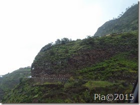 P1060241