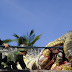 بالفيديو : العثور على اكبر ثعبان في العالم 
