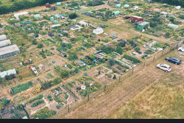 Marsh Lane Allotments Drone Video