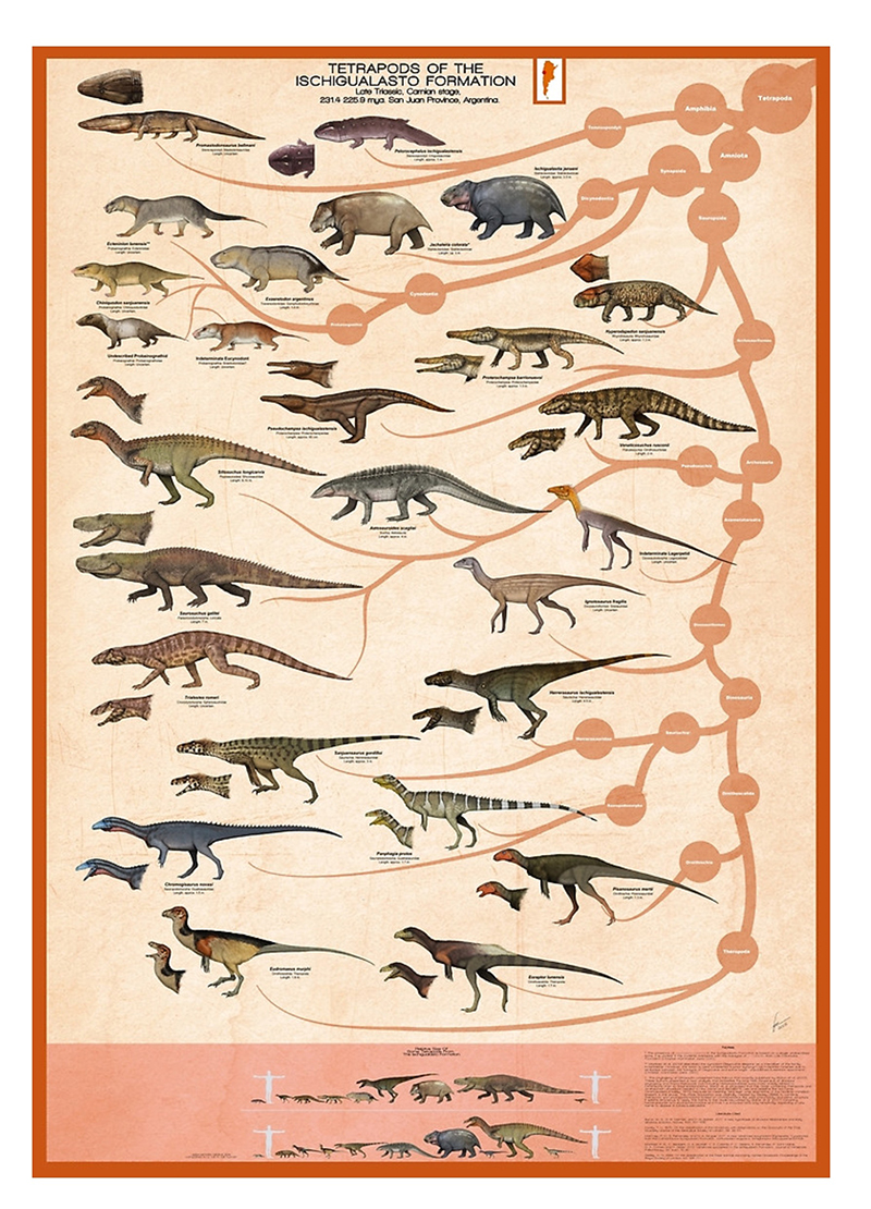 Gabriel Ugueto's Ischigualasto Formation Poster