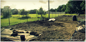 progress on the allotment