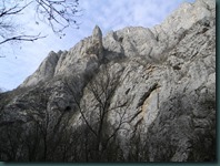 DSCN5622