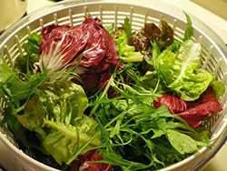 Benefits of Leafy Salad Greens