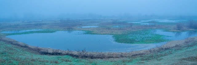 Village Creek Drying Beds