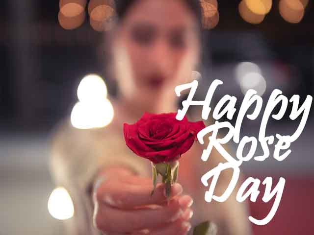 rose day images