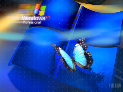 wallpapers for xp. wallpapers windows xp.