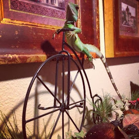 Funny animals of the week - 13 December 2013 (40 pics), lizard rides old bike