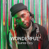 Burna Boy - Wonderful 2020