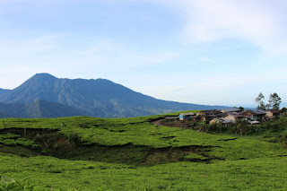 Gunung Kencana 2018 cara menuju gunung kencana rute 1803 mdpl transportasi gunung kencana akses