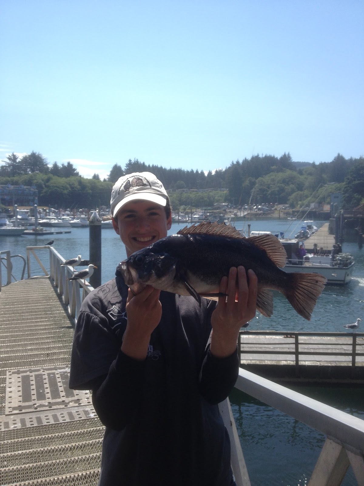 Pacific Northwest Saltwater Fish: A Spooled Fish Profile
