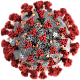 coronavirus vaccine