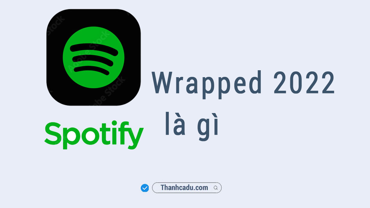 spotify-wrapped-2022-meaning