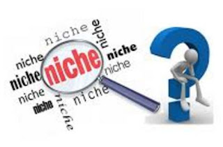 niche blog