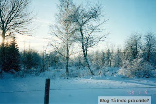 bosques da região de Jönköping