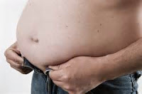  http://myabssolutions.blogspot.com/2010/08/few-tips-that-will-make-belly-fat-loss.html