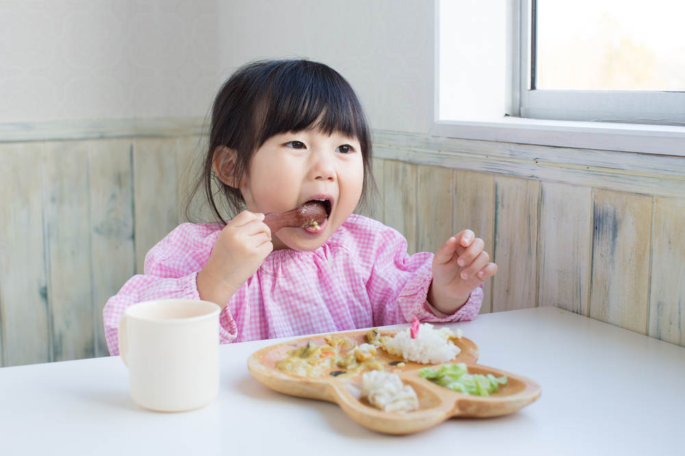 Menghadapi Anak  yang Tidak Mau Makan  Nasi Tips  buat  para 