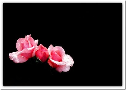 _IGP9605.PEF
