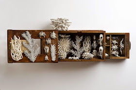13-Nature-Box-Katharine-Morling-Porcelain-Sculptures-www-designstack-co