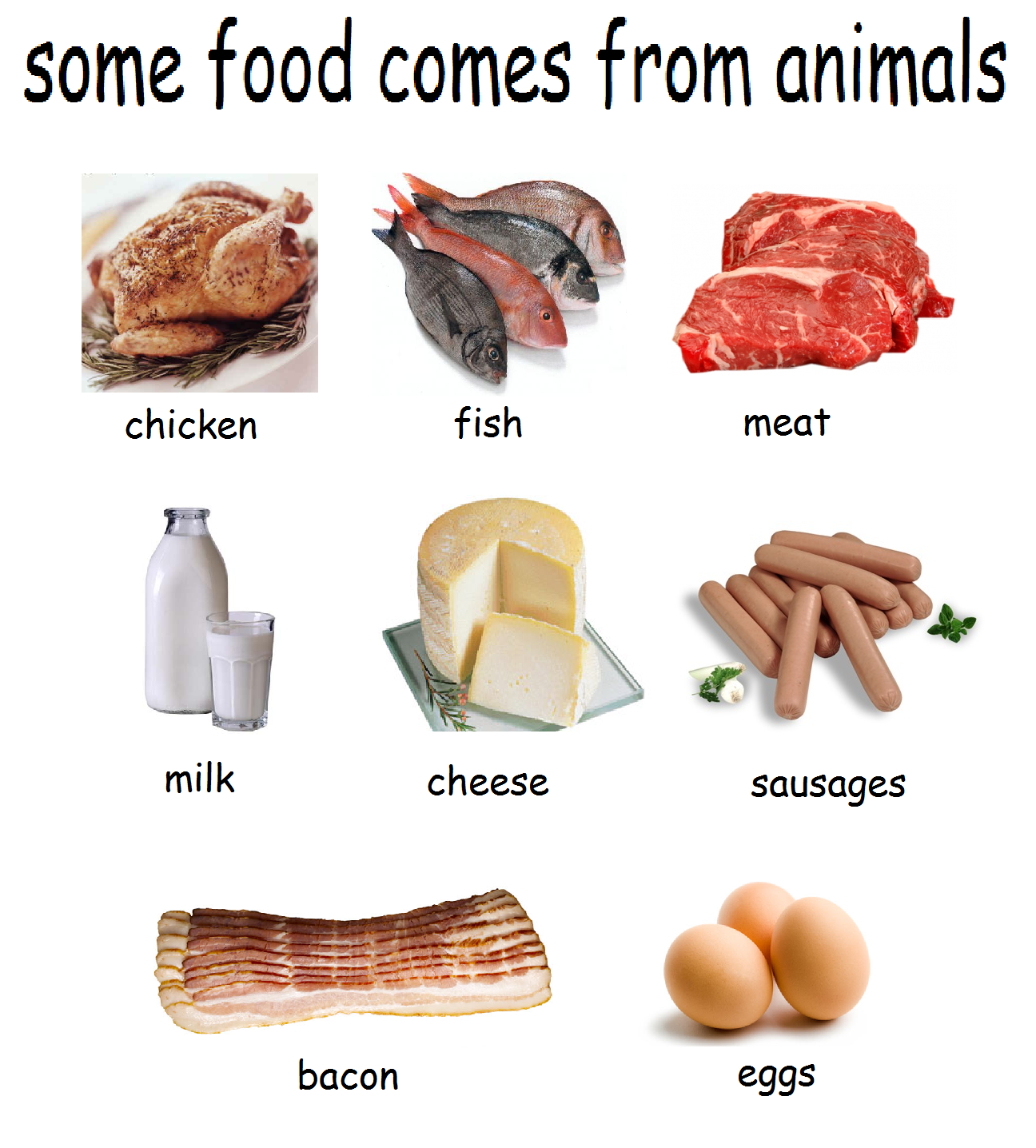 Image result for food comes from animals and plants