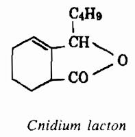 Thành phần hóa học Xuyên Khung - Ligusticum wallichii - Nguyên liệu làm thuốc Chữa Cảm Sốt