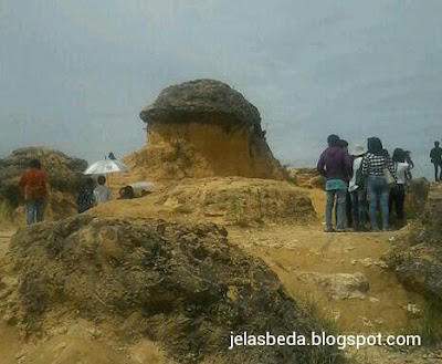 bukit jamur gresik