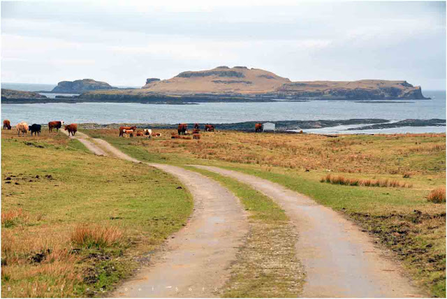 Isle of Muck, Scotland