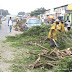 Abattage des arbres pour moderniser l’avenue du 4 janvier à Boma