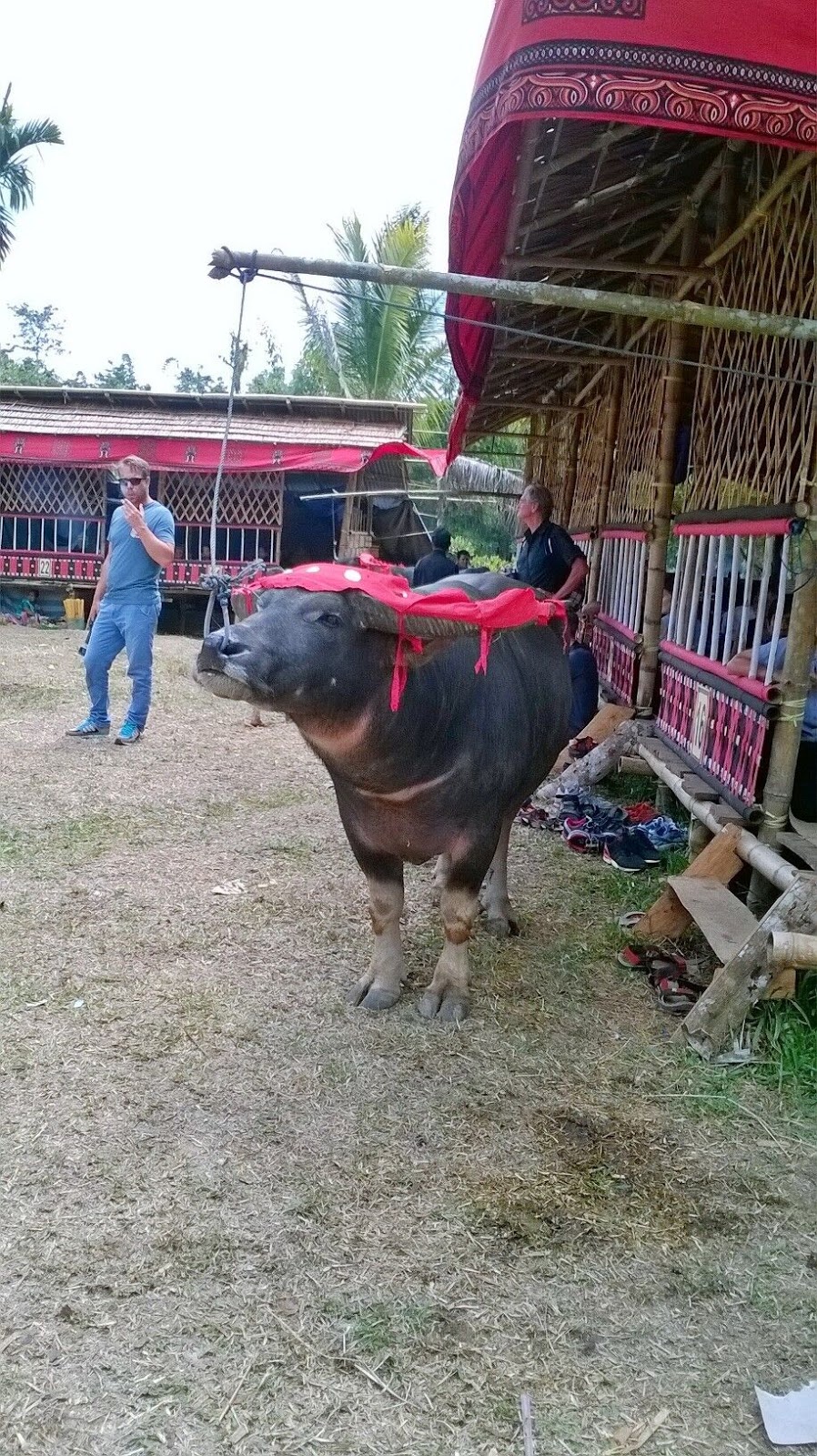 Catatan Perjalanan Yangti Tour Ke Tana Toraja Dan Makasar