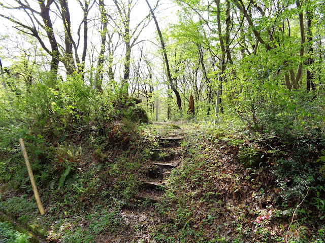 途中に大山古道の入り口があります