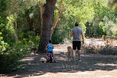 Se ve de lejos a mi marido a la derecha, mi perro en medio y mi hija montada en la bici por en medio del pinar. Todos de espaldas.